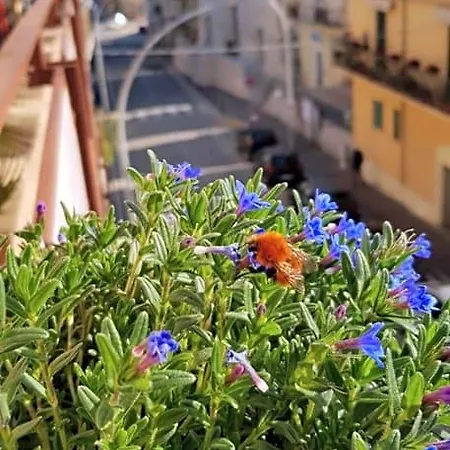 Il Nido 4* San Vito Chietino