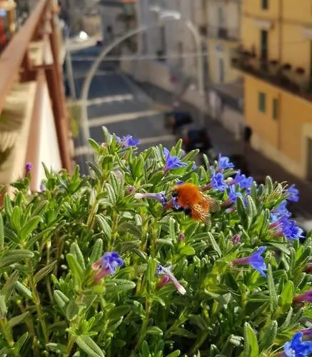 Il Nido Bed & Breakfast San Vito Chietino