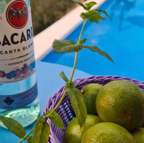 לינה וארוחת בוקר Il Nido